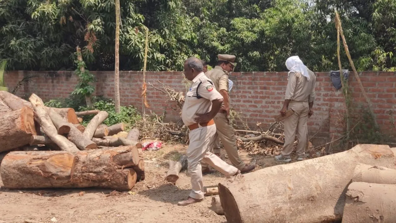 Unnao News: वन विभाग की टीम ने धर्मकांटा से पकड़ी एक ट्रक प्रतिबंधित लकड़ी...पुलिस ने FIR दर्ज कर जांच शुरू की 