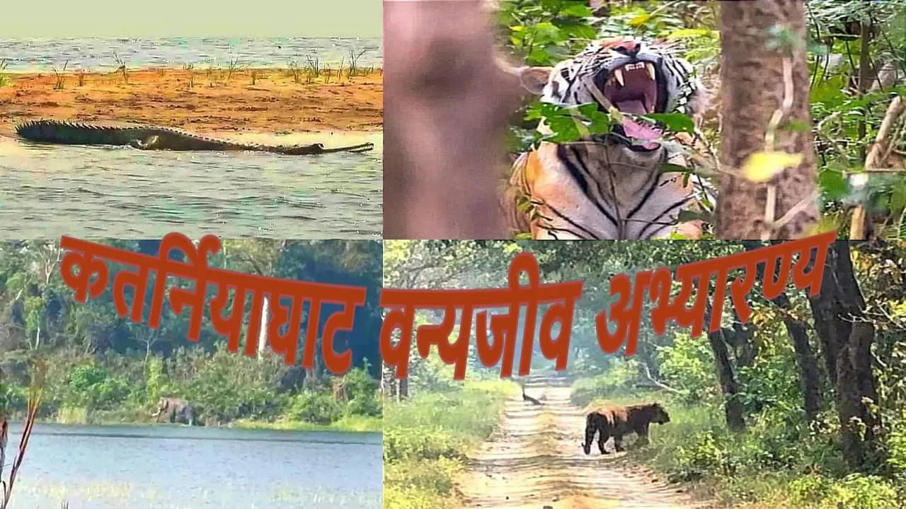 बहराइच: इस बार 10 दिन देर से बंद हुआ कतर्नियाघाट वन्यजीव प्रभाग, जानें वजह