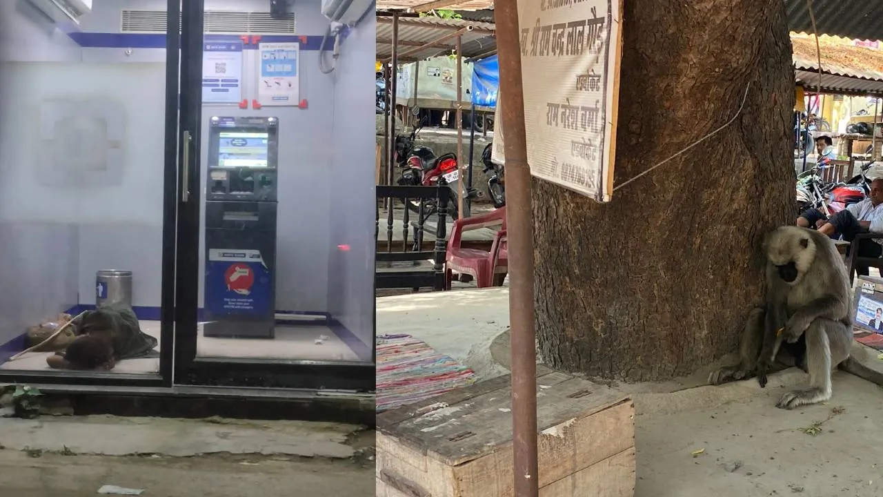 बहराइच: भीषण गर्मी से व्याकुल दिखे लोग, 44 डिग्री पहुंचा तापमान, वन्यजीव भी परेशान 