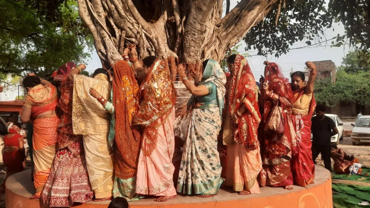 Vat Savitri Vrat 2024: उन्नाव में वट वृक्ष की पूजा कर सुहागिनों ने मांगी पति की लंबी उम्र...सुहागिनों ने विधि विधान से की पूजा अर्चना