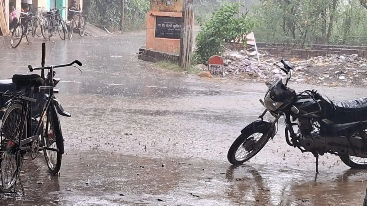 Farrukhabad: मानसून की पहली बारिश से गर्मी से झुलसते पौधों को मिली संजीवनी, तापमान में आई गिरावट से लोगों ने ली राहत की सांस