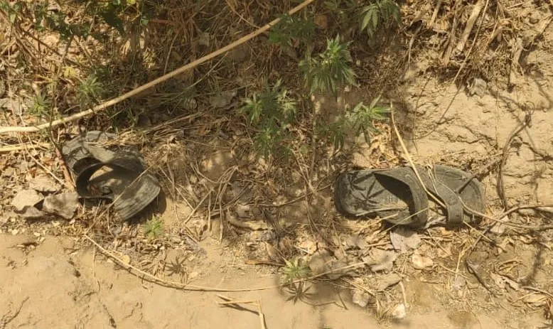 WhatsApp Image 2024-06-02 at 7.55.10 PM