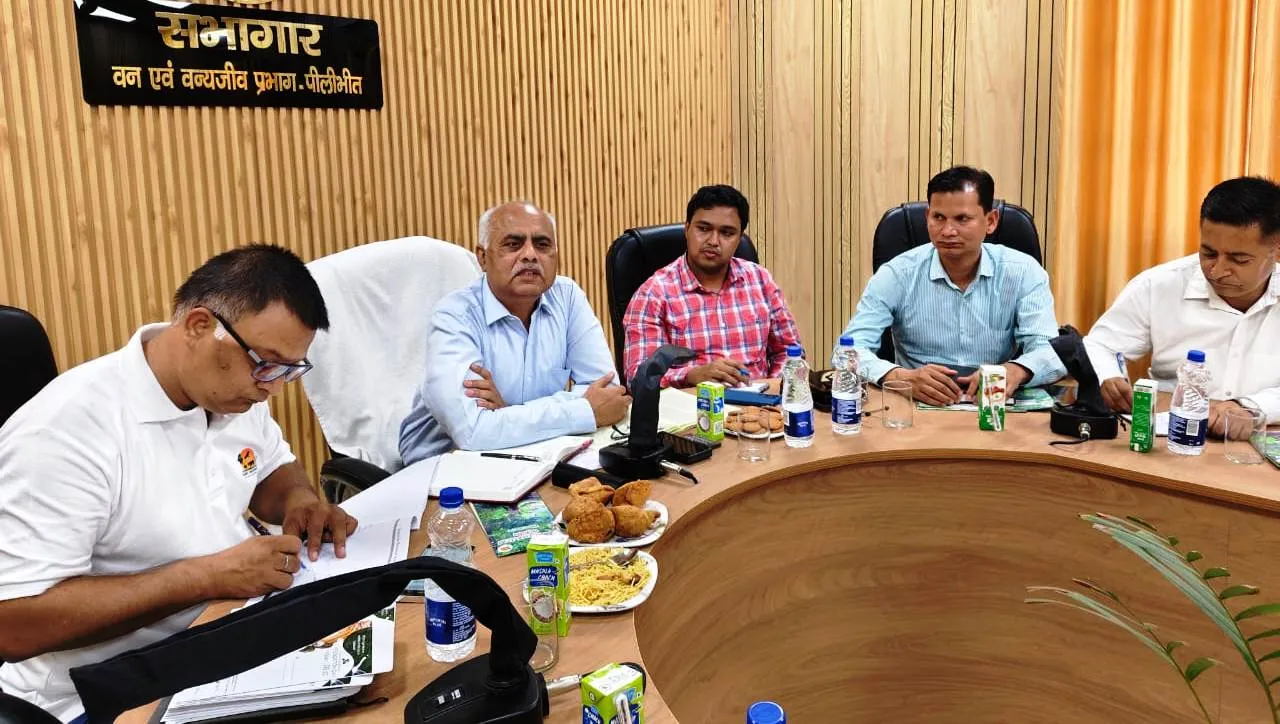 पीलीभीत: PTR देश के सर्वश्रेष्ठ टाइगर रिजर्वों में शुमार होने की ओर अग्रसर, 10 साल पूरे...बाघों का संरक्षण, आय भी बढ़ी 