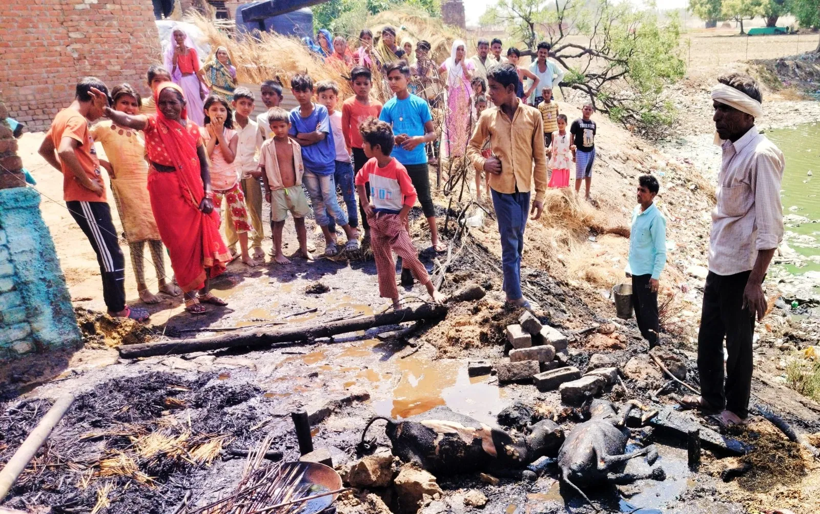 शाहजहांपुर: घूरे पर पड़ी चूल्हे की राख से छप्पर में लगी आग, दो मवेशियों की मौत...युवक झुलसा
