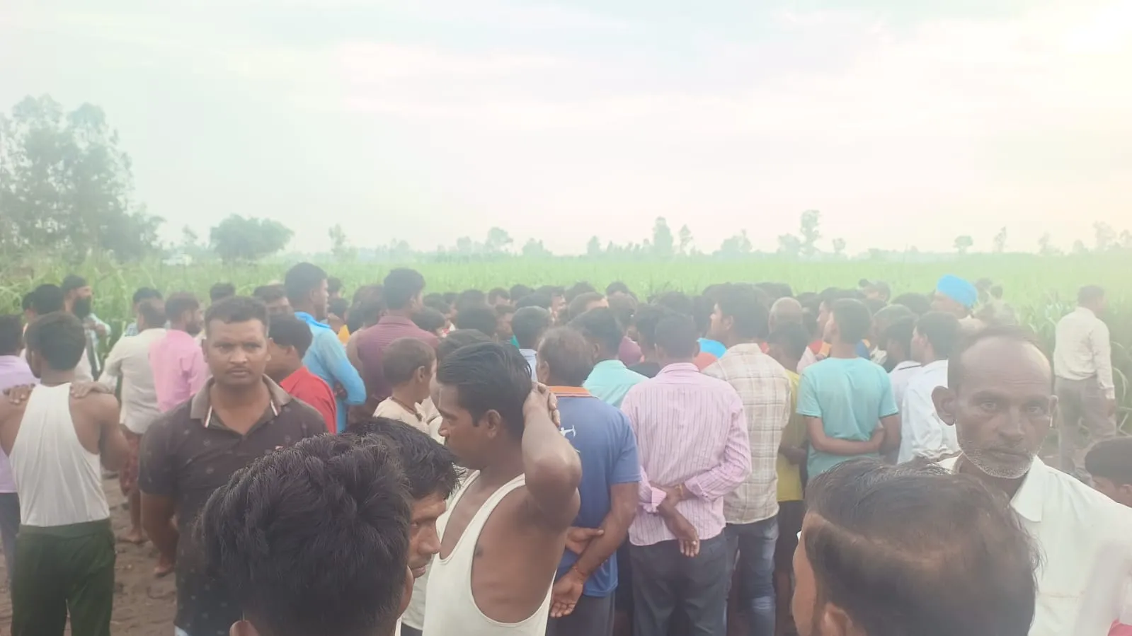 पीलीभीत: खेत से लौट रहे किसान को रास्ते से खींच ले गया बाघ, सुबह मिला अधखाया शव 