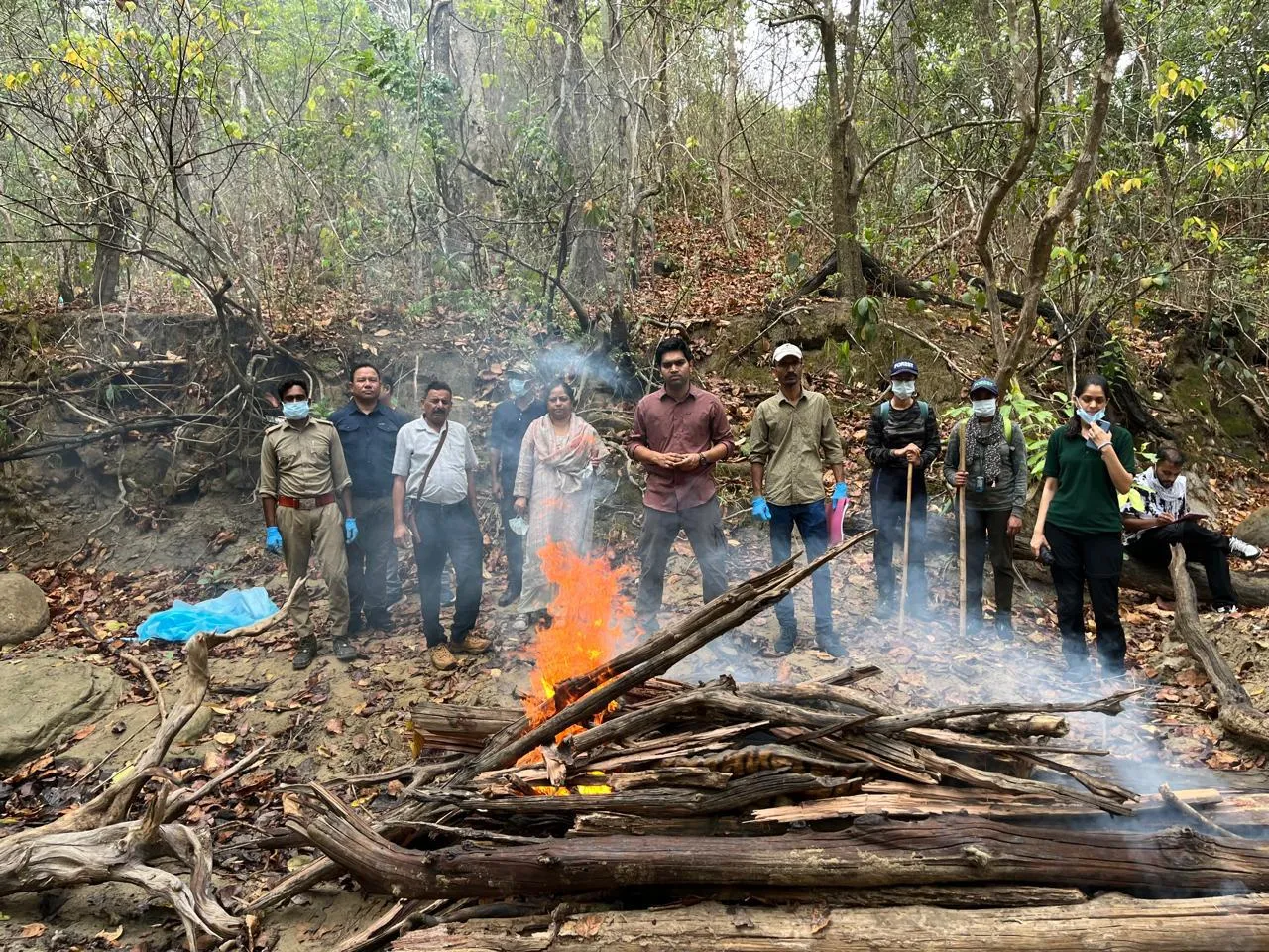रामनगर: कार्बेट के झिरना में बाघ का शव मिलने से मचा हड़कंप