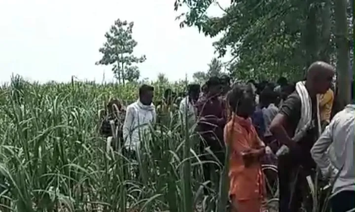 लखीमपुर-खीरी: गन्ने के खेत में मिला लापता हुए व्यक्ति का शव, जांच में जुटी पुलिस