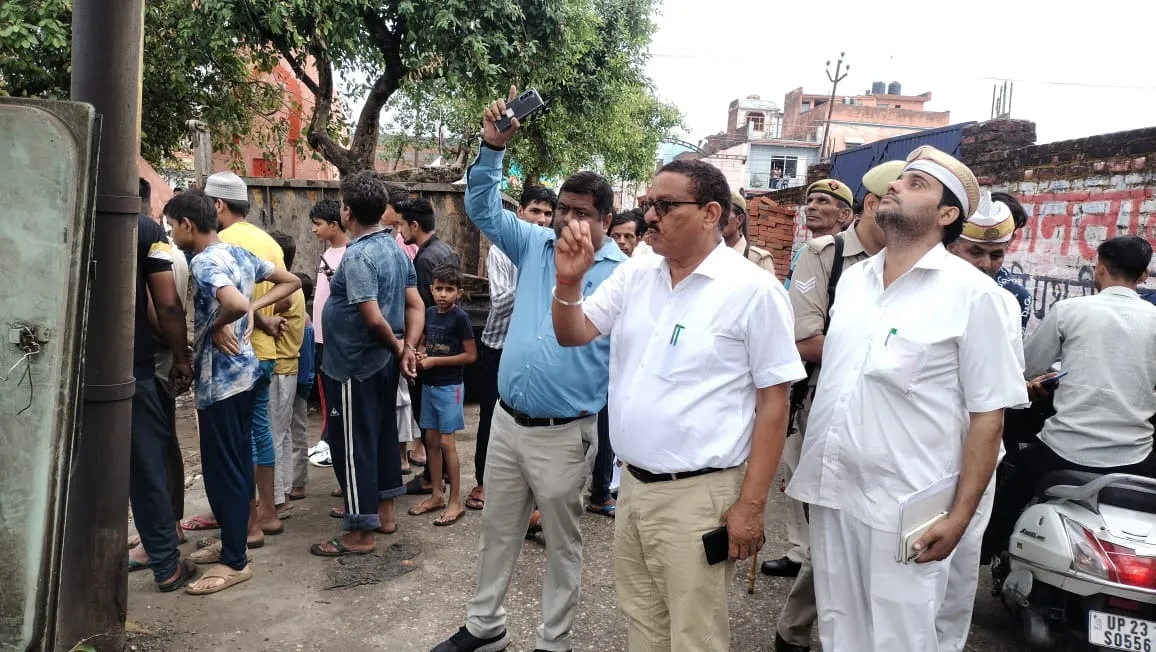 अमरोहा: तालाब में करंट से नौ भैंसों की मौत, कई झुलसीं