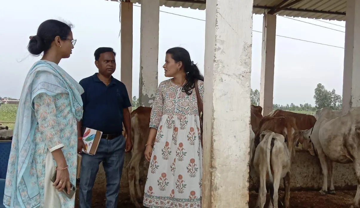 पीलीभीत: खाईखेड़ा गोशाला में भी गोवंश की दुर्दशा, बीमार होकर तड़पते रहे...एक मिला मृत