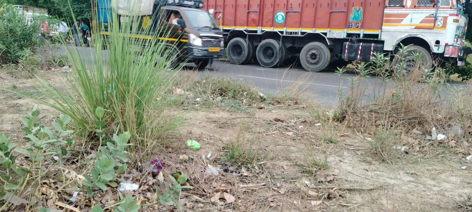 बदायूं: पुरानों का अता पता नहीं, नए पौधे लगाने की चल रही तैयारी