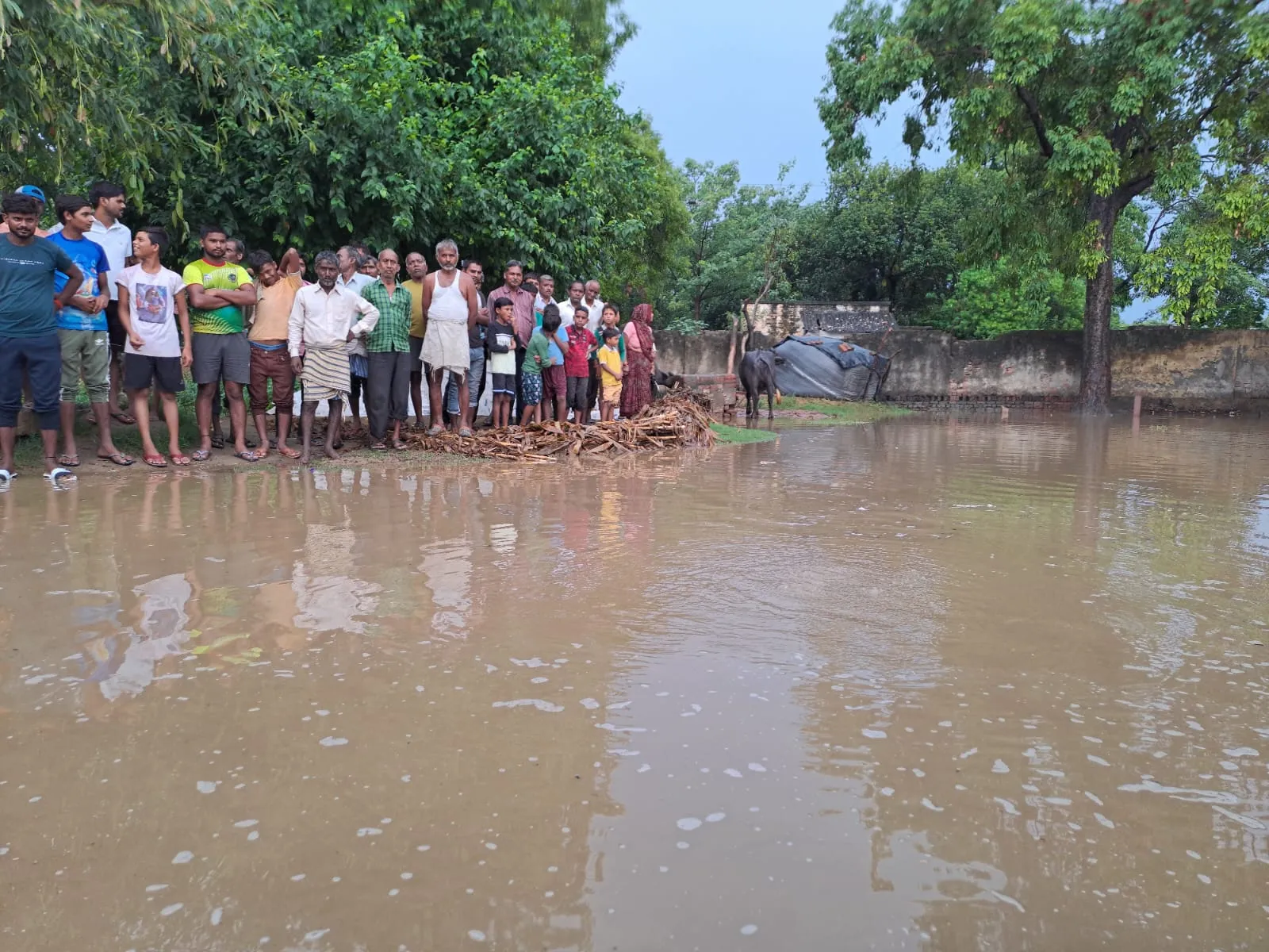 WhatsApp Image 2024-06-30 at 2.39.46 PM