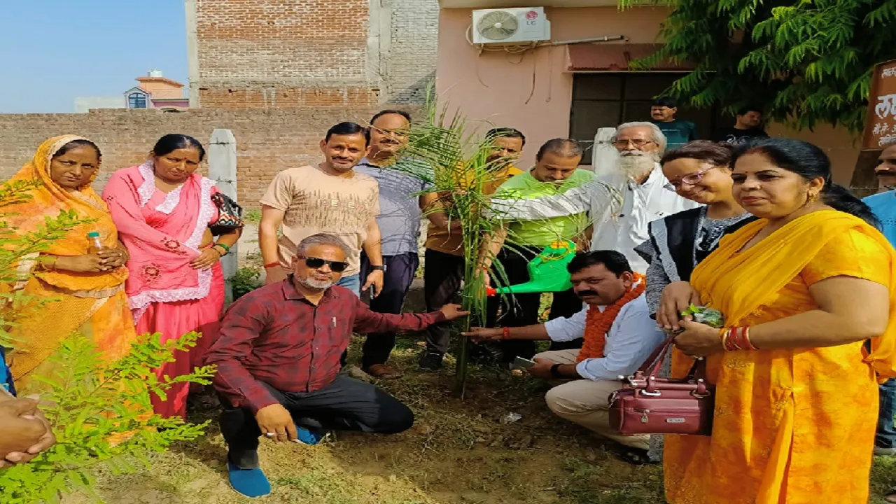 World Environment Day 2024: औरैया में विश्व पर्यावरण दिवस पर गोष्ठी का आयोजन हुआ...5100 पौधों के पौधारोपण की घोषणा 