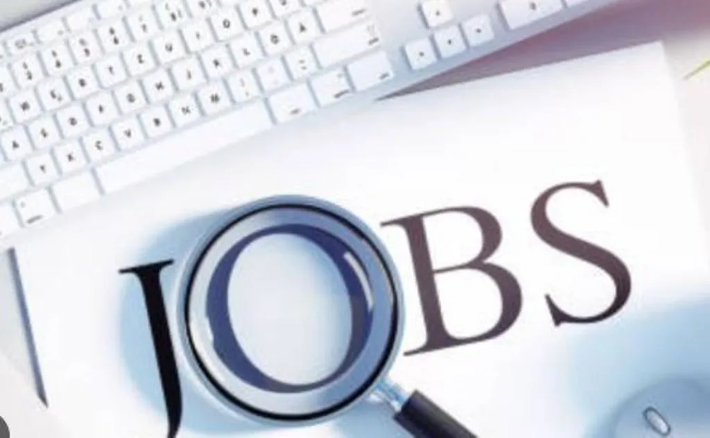 Jobs 2024: इंडियन एयरफोर्स ने निकाली कई पदों पर वैकेंसी, यहां जानें आवेदन करने की पूरी प्रक्रिया 