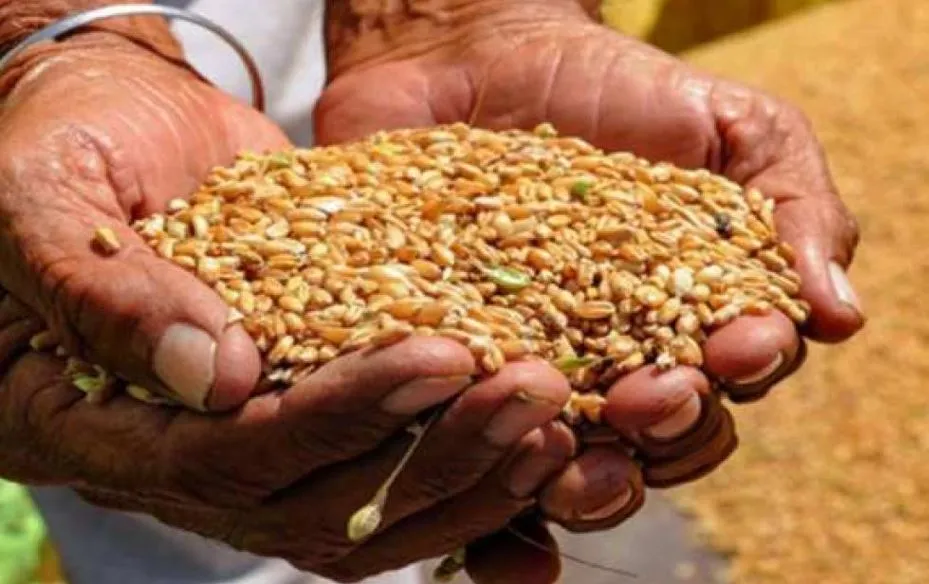 कासगंज:  ई-केवाईसी के बिना कार्ड धारकों को 30 सितंबर तक मिलेगा फ्री राशन 