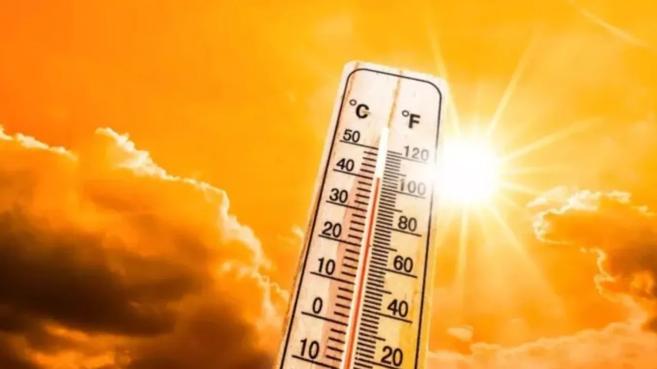 Kanpur: भीषण गर्मी का प्रकोप जारी; लू से दरोगा और हेड कांस्टेबल समेत 44 की मौत, सैकड़ों चमगादड़ भी मरे