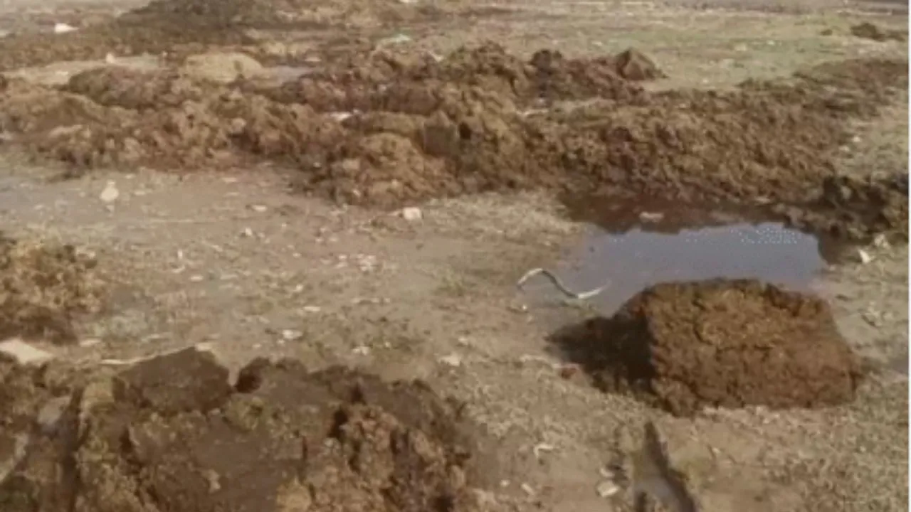 Kanpur: चट्टा संचालकों की दबंगई: टनों गोबर सीवर चैंबर में फेंक देते, दुर्गंध से हजारों लोग परेशान