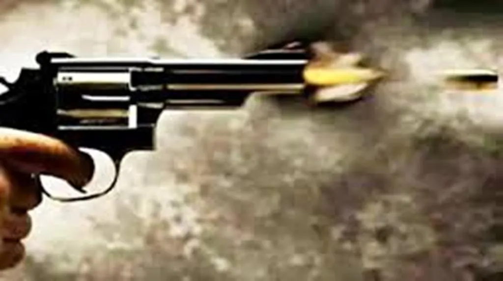 Bareilly News: सरेआम फायरिंग से फिर फैली दहशत...भतीजे ने बुआ को मारी गोली, हालत गंभीर