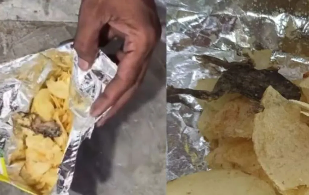 Frog in Chips Packet: हो जाएं सावधान...अब चिप्स के पैकेट में मिला मरा हुआ मेंढक 