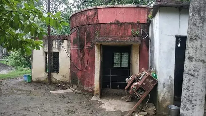 नगर निगम