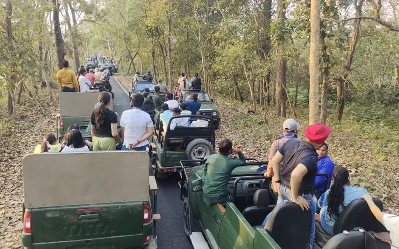 पीलीभीत: काउंटडाउन शुरू...15 को बंद हो जाएगा पीटीआर का पर्यटन सत्र, साढ़े पांच माह में आ चुके 37905 सैलानी...130 विदेशी 