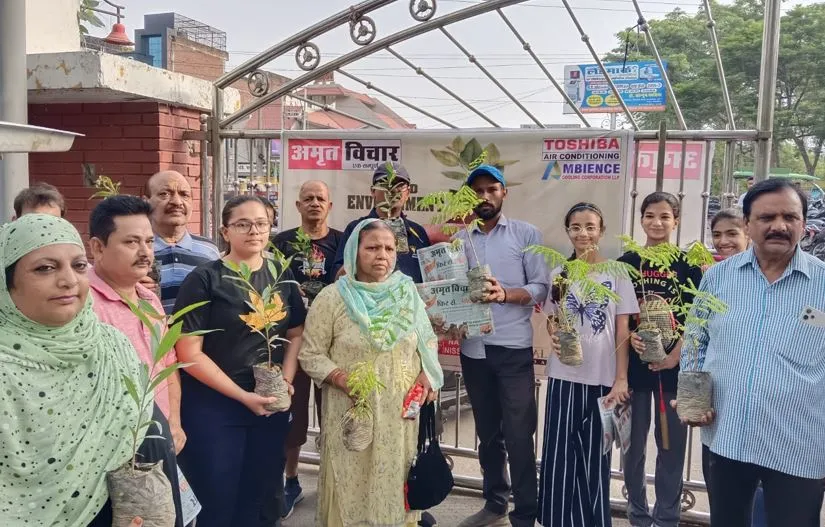 Bareilly News: अमृत विचार की पौधा वितरण मुहिम को लोगों का मिला साथ