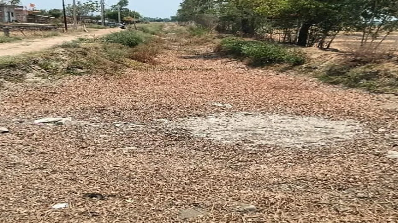 प्रयागराज जेसीबी और ट्रैक्टर से कराया जा रहा कार्य, गरीबों का छीन रहे निवाला (1)