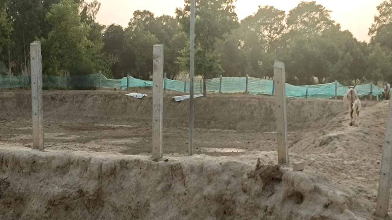 फर्जीवाड़ा गौशाला में मवेशियों की पंजिका में 302 मवेशी, मौके पर मिले 155 (1)