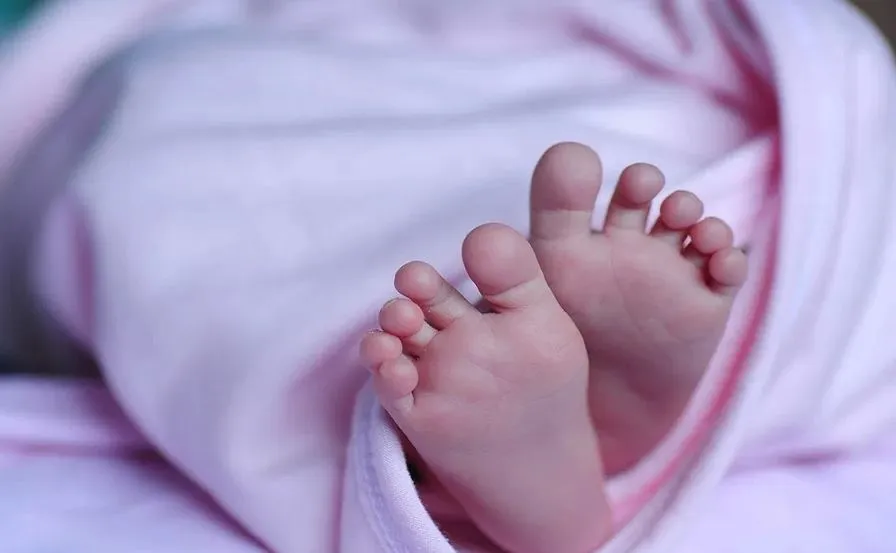 Bareilly News: दो साल में 115 परिवारों में गूंजी जुड़वा बच्चों की किलकारी