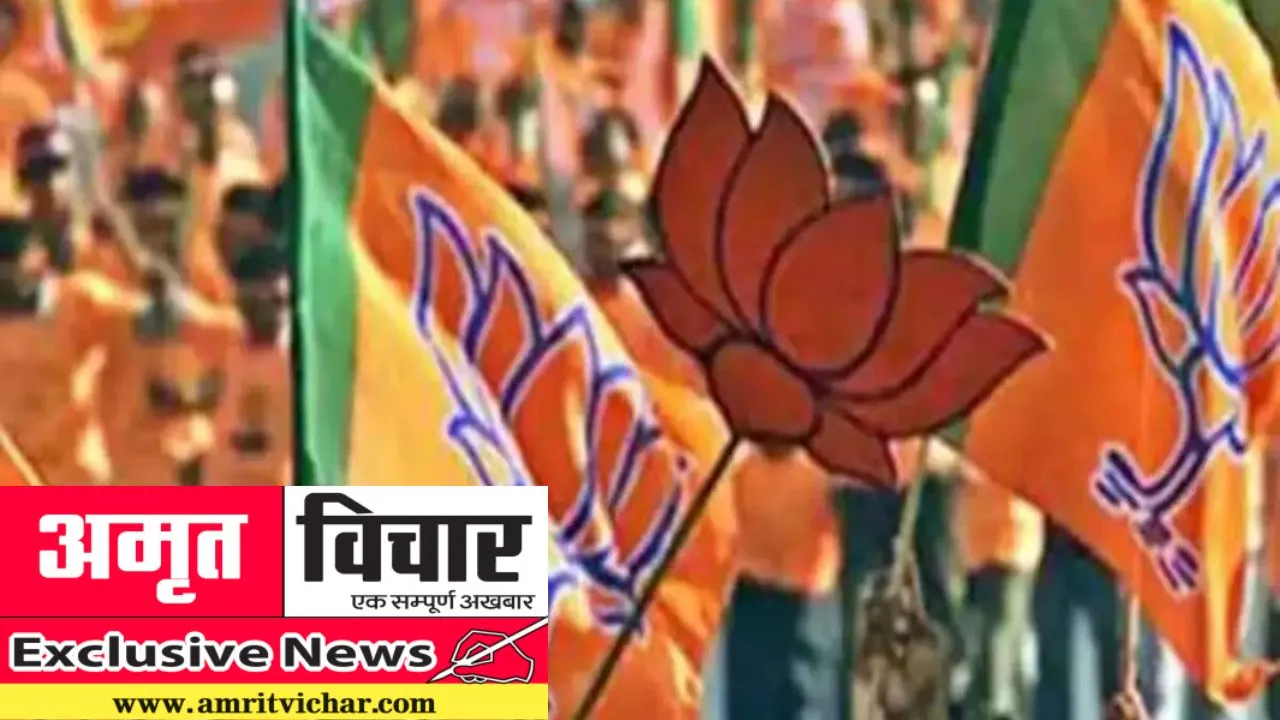 Exclusive: चुनाव में ‘गैर’ हुए थे ‘भाजपाई’, अब एक ओर ‘पहाड़’ तो दूसरी तरफ ‘खाई’  