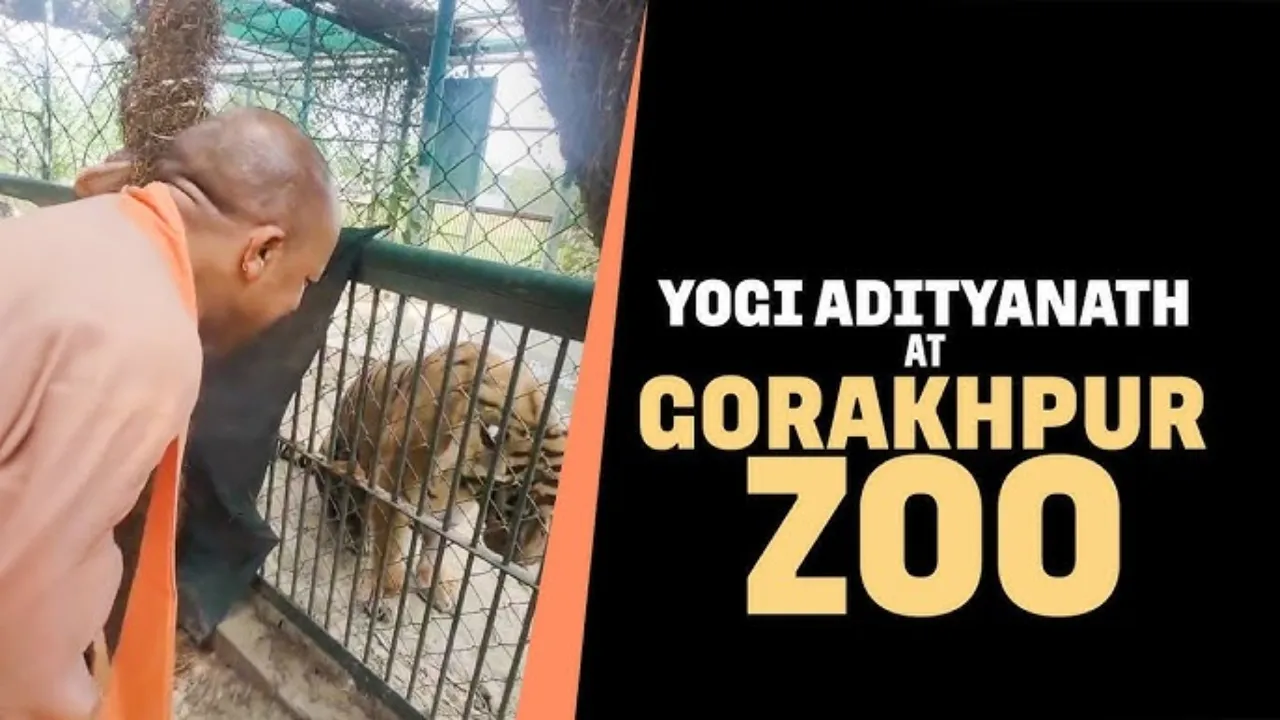 गुर्राते बाघ को मुख्यमंत्री योगी आदित्यनाथ ने किया शांत, गैंडे को हाथों से खिलाया केला
