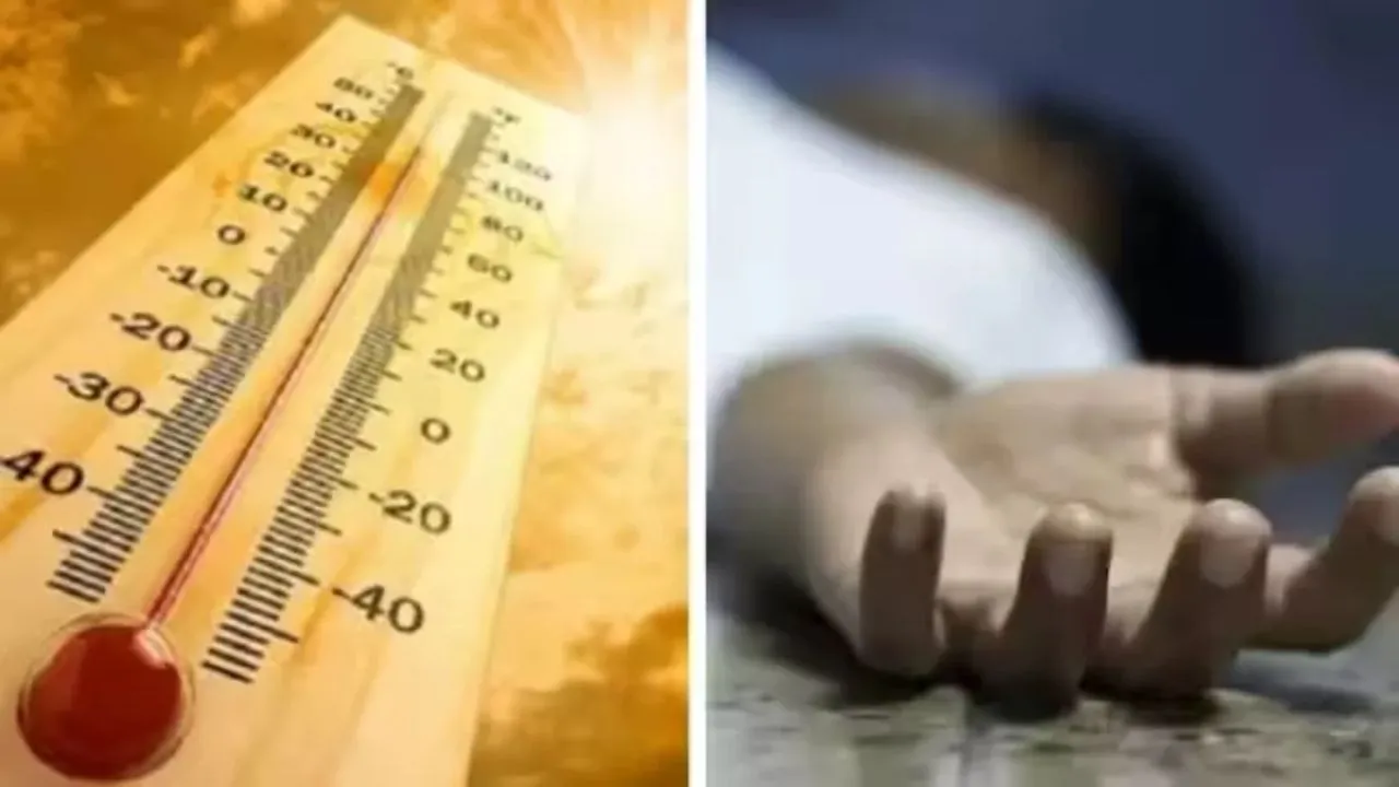 Kanpur: सड़कों पर पड़े मिले लू के मारे लोगों के शव, जिला प्रशासन में सनसनी, पोस्टमार्टम हाउस में पांच डॉक्टरों  की लगी ड्यूटी