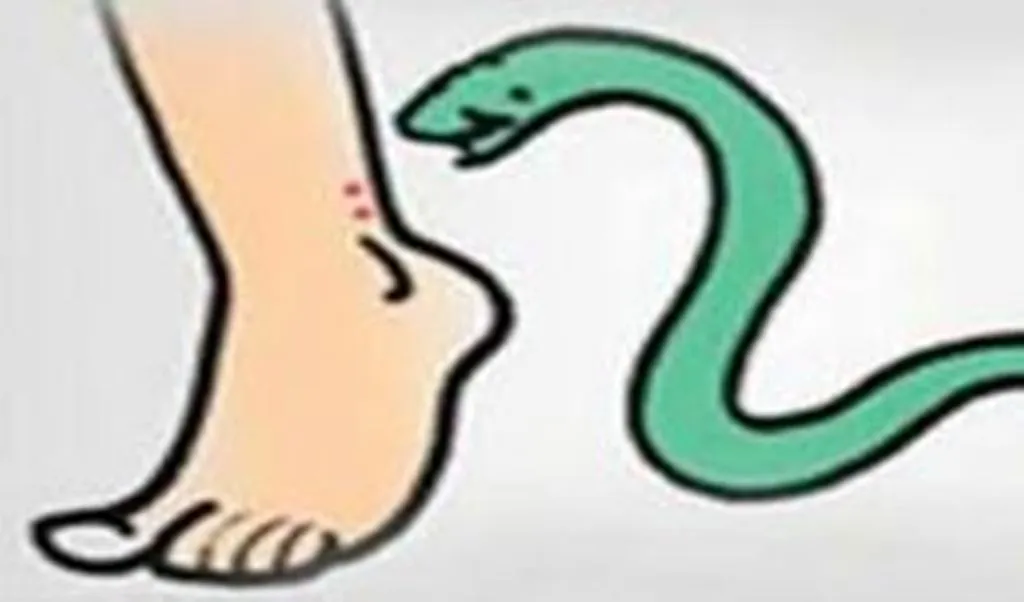 लखीमपुर-खीरी: घर के बाहर खेल रहे पांच साल के बच्चे की सर्प दंश से मौत, परिवार में मचा कोहराम 