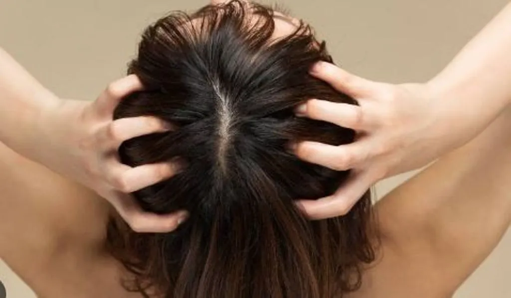 तेज गर्मी के साथ ही पसीने से बढ़ रही बालों में खुजली और चिपचिपाहट की समस्या, यहां जानें इससे राहत के उपाय 