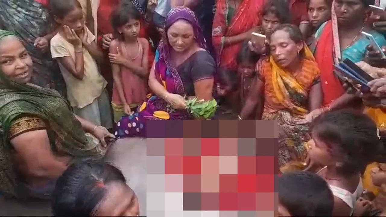 बहराइच: मां के पास सो रही मासूम बच्ची को उठा ले गया भेड़िया, क्षत-विक्षत शव देख परिजनों के उड़े होश