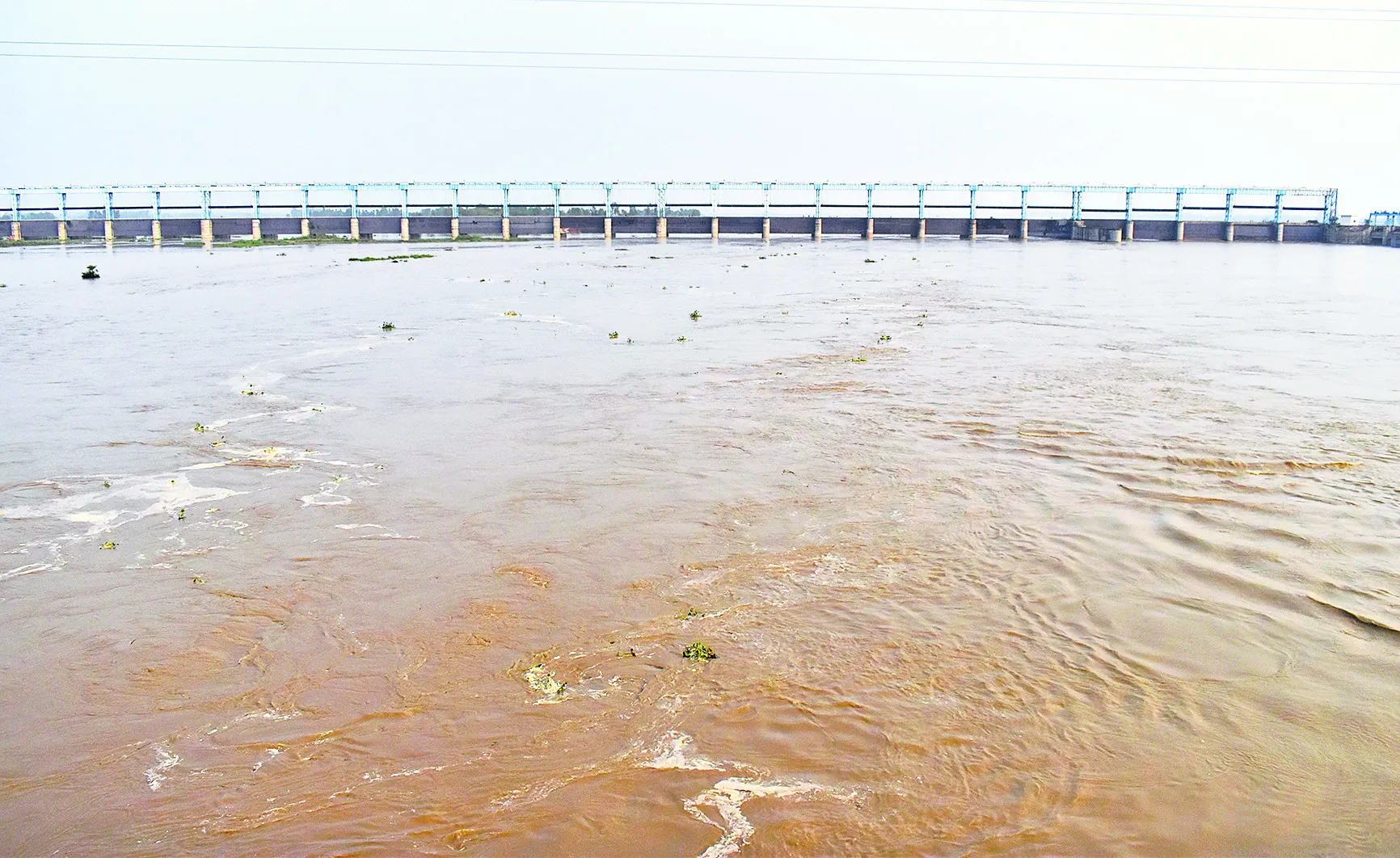 11bly_171_11072024_1