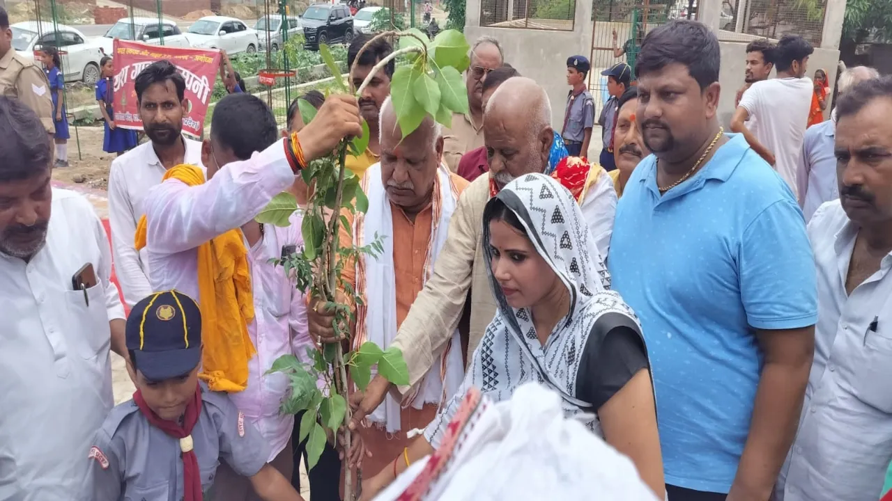 स्वच्छ और स्वस्थ पर्यावरण सुनिश्चित करते हैं वृक्ष :लल्लू सिंह 