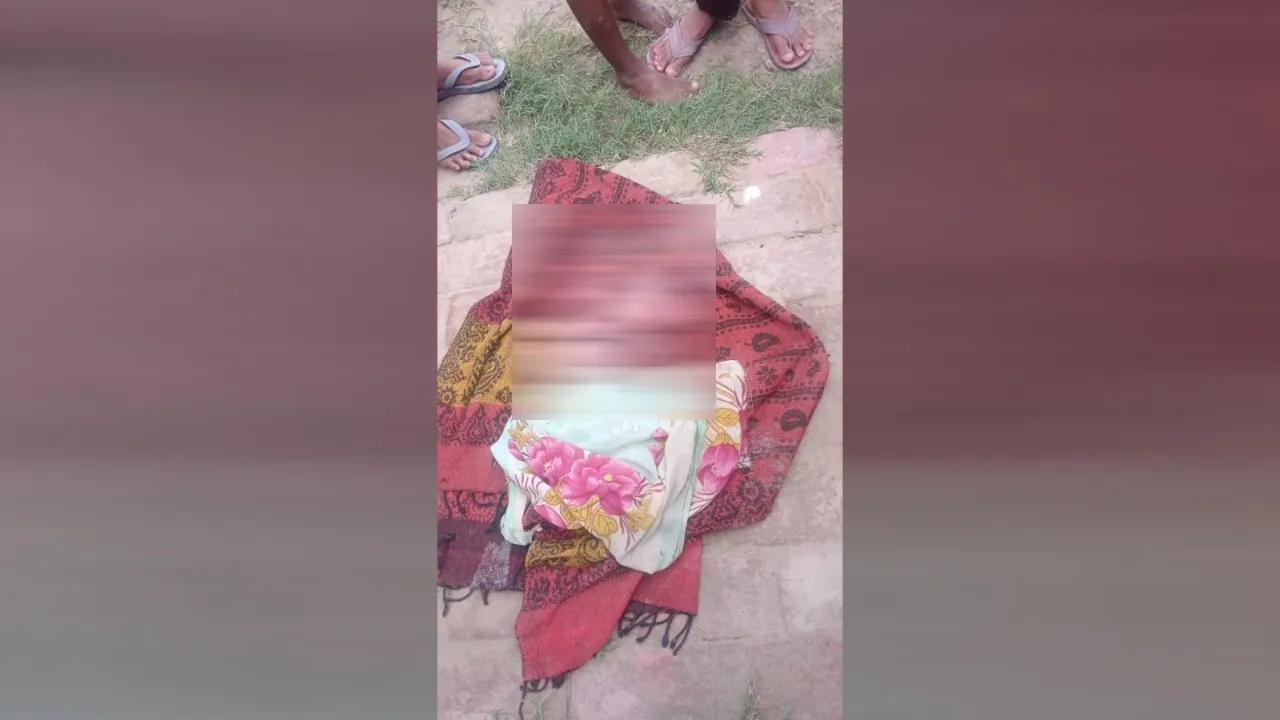 सीतापुर: गर्भवती महिला ने दिया अविकसित बच्चे को जन्म, देखने वालों का लगा तांता-जानिए क्या है मामला 