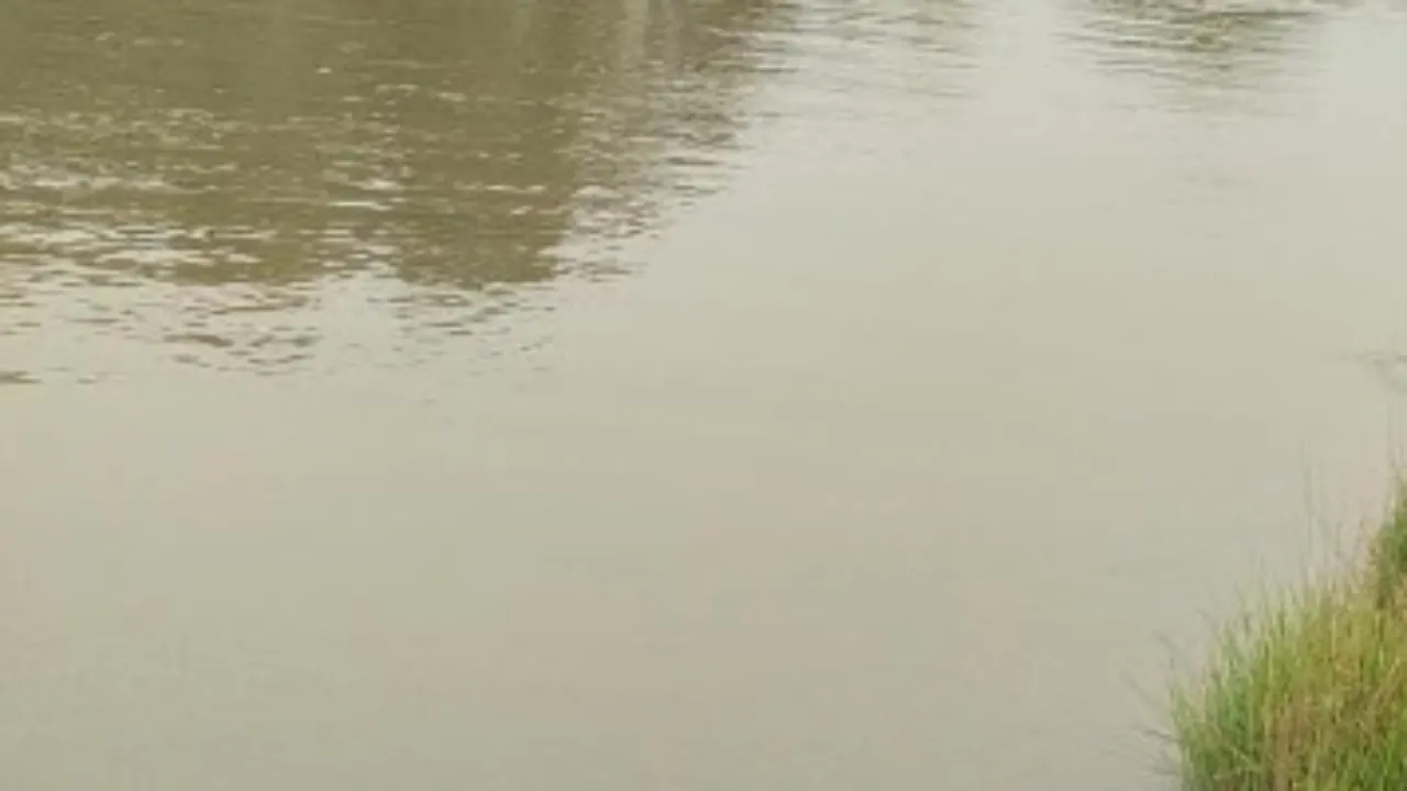 हरदोई की शारदा नहर में 15 घंटे तक चला रेस्क्यू ऑपरेशन-गोताखोरों ने ढूंढ निकाला युवक का शव
