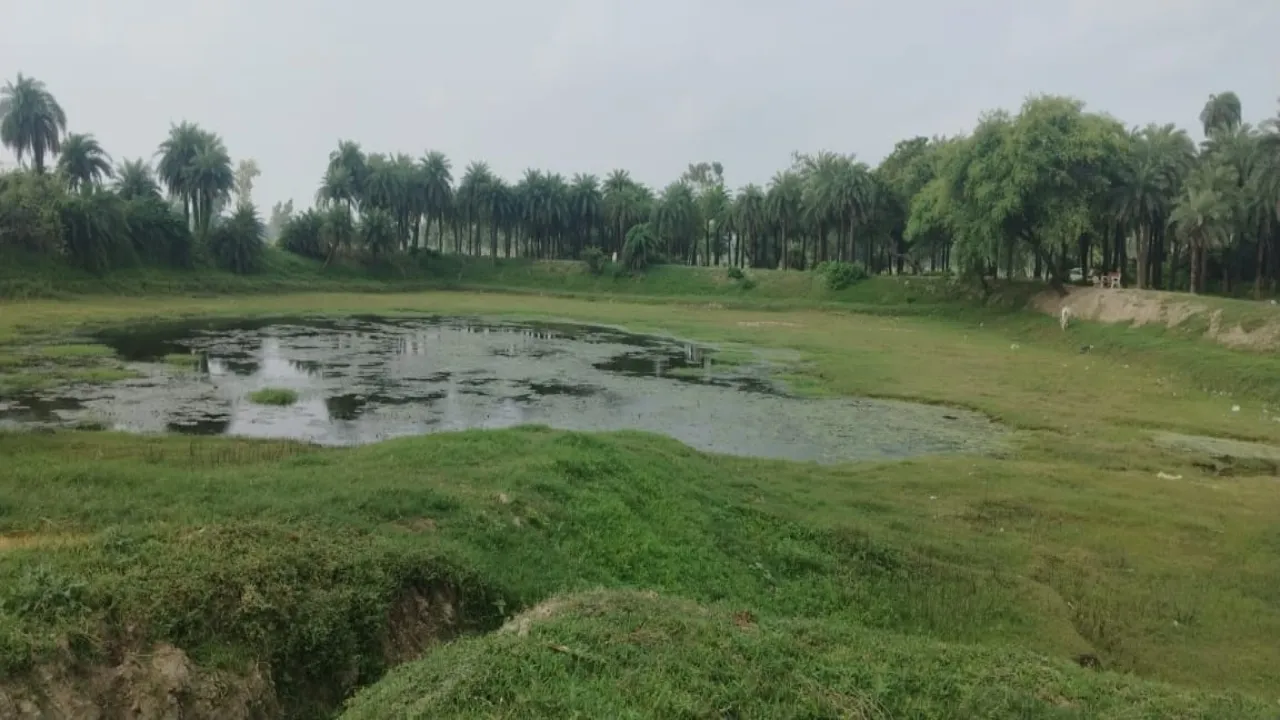 बाराबंकी: कमीशन के चक्कर में जंगल की भूमि पर मनरेगा से बना तालाब, 9 लाख रुपये से हुई थी खोदाई