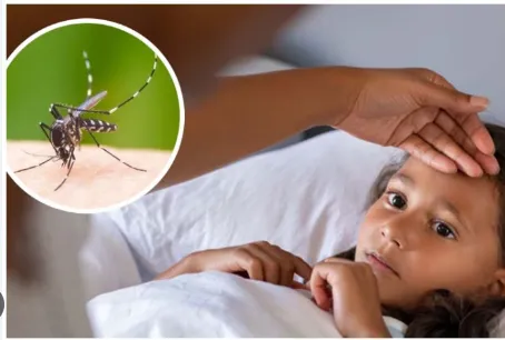 हल्द्वानी: शहर में हेपेटाइटिस A और मलेरिया की दस्तक