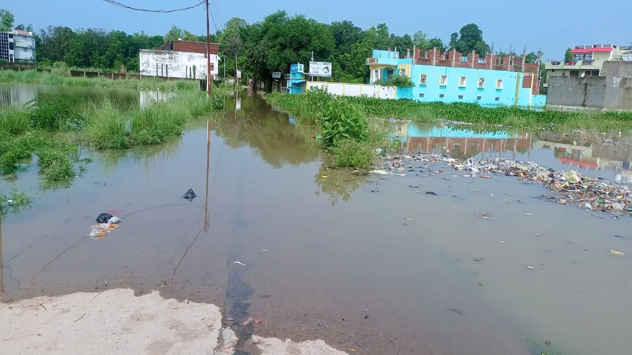 बलरामपुर: खतरे के निशान से 60 सेंटीमीटर ऊपर पहुंचा राप्ती नदी का जलस्तर, कई मोहल्लों में भरा पानी 