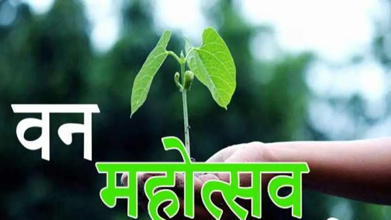 Van Mahotsav: वन महोत्सव आज से शुरू, युवाओं को पौधरोपण के प्रति करेंगे जागरूक