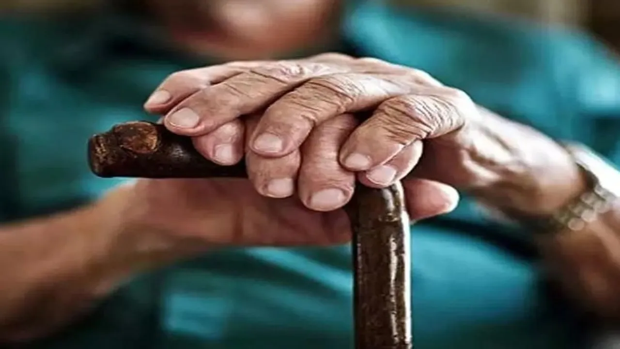 भारत में बुजुर्गों की आबादी 2050 तक दोगुनी होने की संभावना- यूएनएफपीए इंडिया प्रमुख