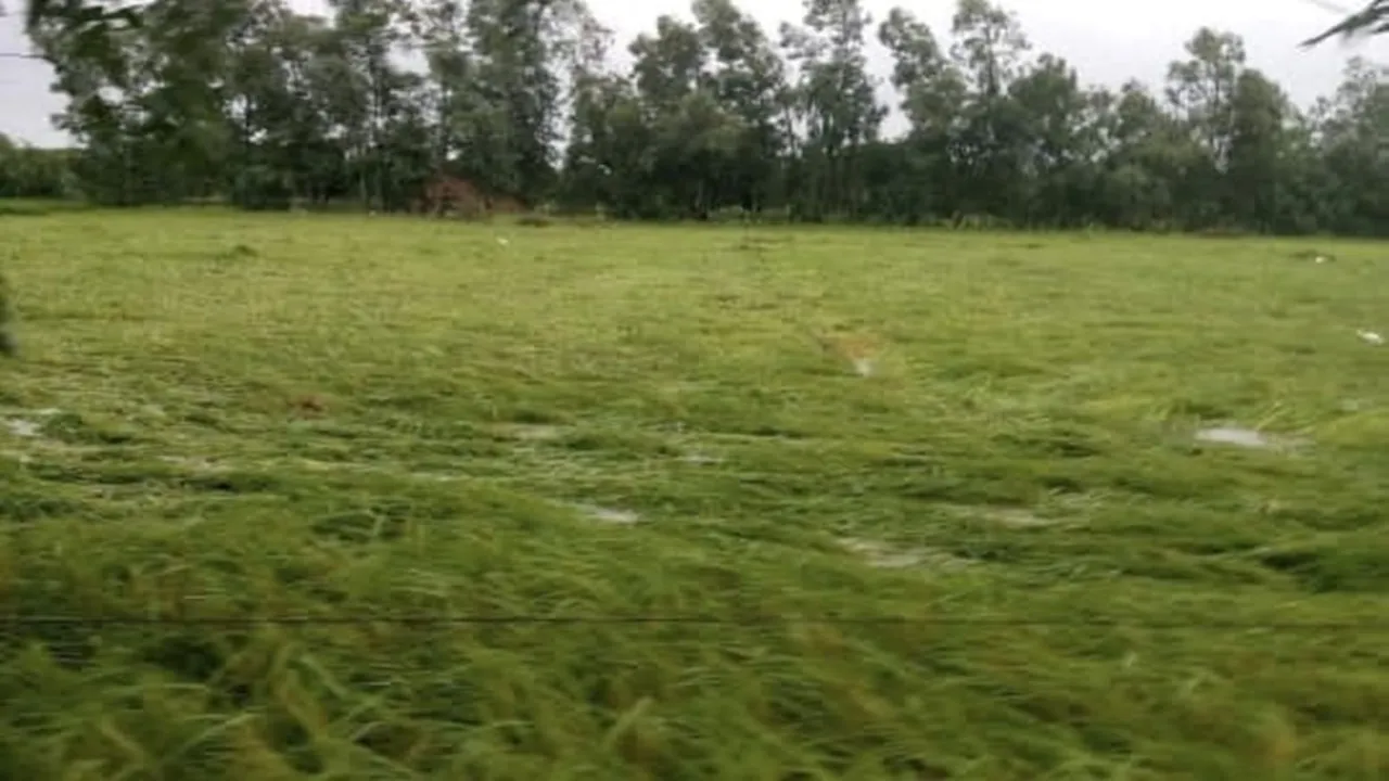 पीलीभीत: 7583 बाढ़ पीड़ित किसानों को मदद की दरकार, प्रशासन कर रहा बजट का इंतजार