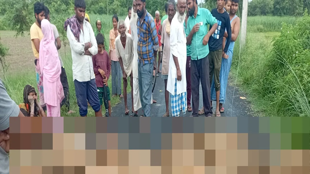 गोंडा: सड़क पर गिरा एलटी बिजली लाइन का तार, करंट की चपेट में आकर 26 भेड़ों की मौत 