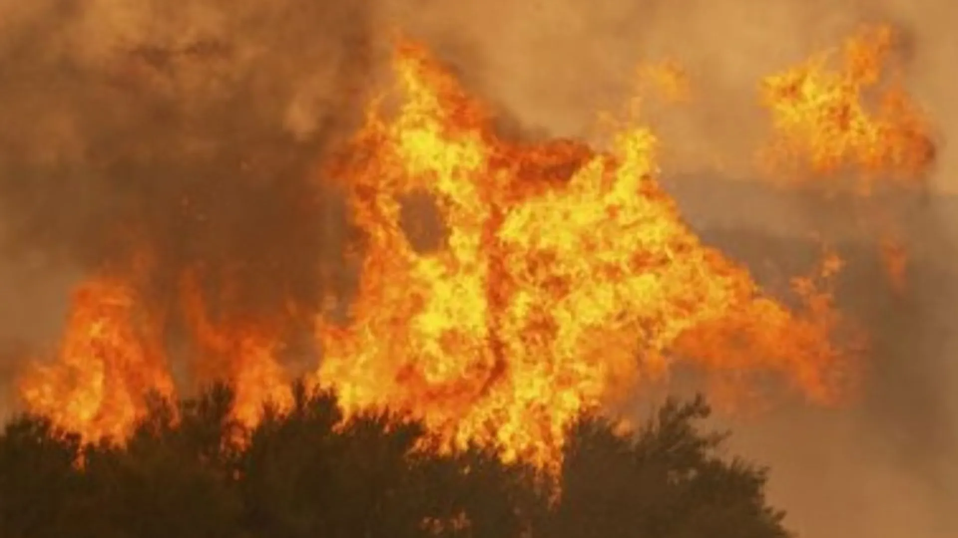 उत्तरी कैलिफोर्निया के जंगल की आग और फैली, हजारों लोगों को सुरक्षित स्थानों पर भेजा गया 