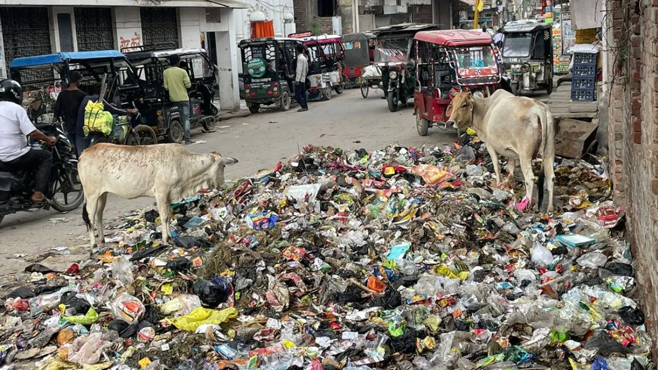 Unnao News: मुसीबत बना छोटा चौराहा का खुला पड़ा कूड़ाघर...लोग बोले- सांस लेना हो रहा दुश्वार