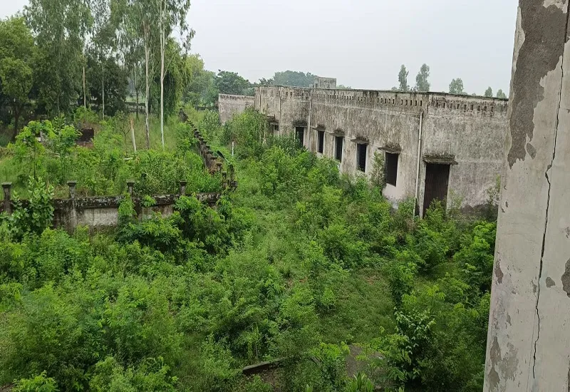 इस जिले में करोड़ों खर्च करके भी चालू नहीं हुआ पॉलिटेक्निक कॉलेज, खंडहर हो गई इमारत...शेष बजट के अभाव में लटका काम 