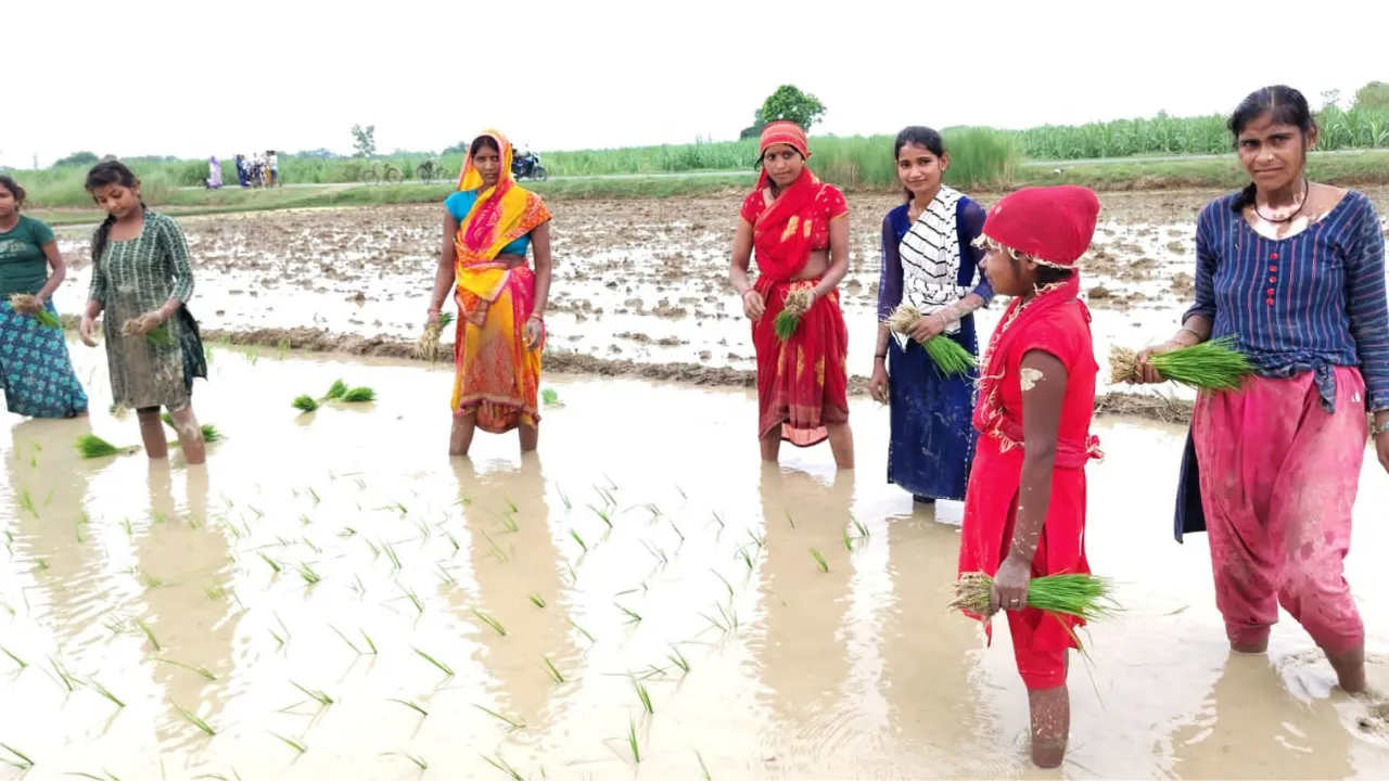  गोंडाः झूम के बरसे बदरा, खिले किसानों के चेहरे
