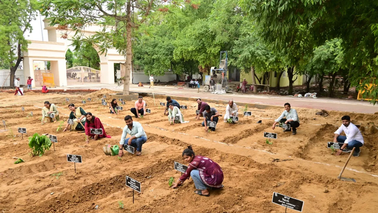  Lucknow University: मेगा प्लांटेशन ड्राइव का आयोजन, पर्यावरण सुरक्षा के प्रति लोगों को जागरूक करना उद्देश्य- डॉ. आरके सिंह